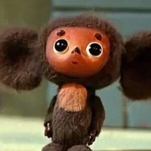 Meet your Posher, Kat